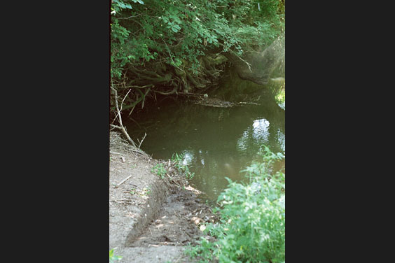Господаревска река в Странджа планина край с.Загорци / 2001г.