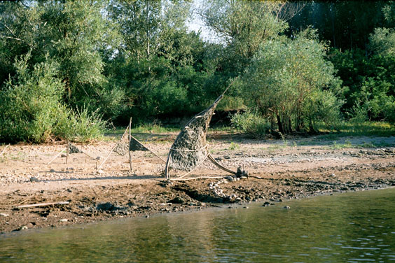 На брега на р.Дунав край гр.Лом / 2003г.